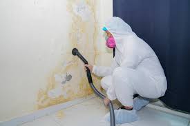 Best Commercial Mold Inspection in Falls City, NE